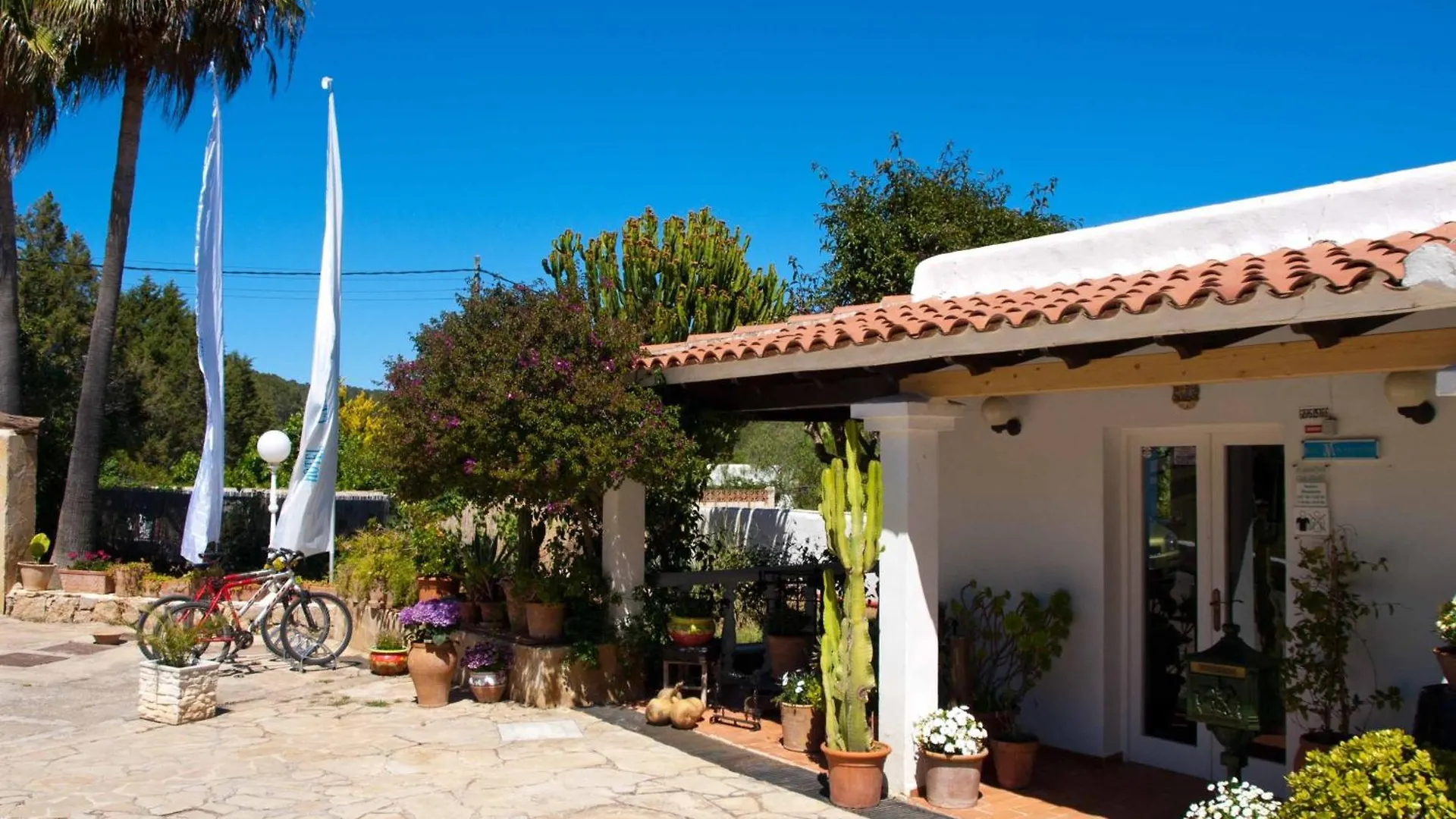 Hotel Club Can Jordi Cala Llenya   Cala Llenya (Ibiza)